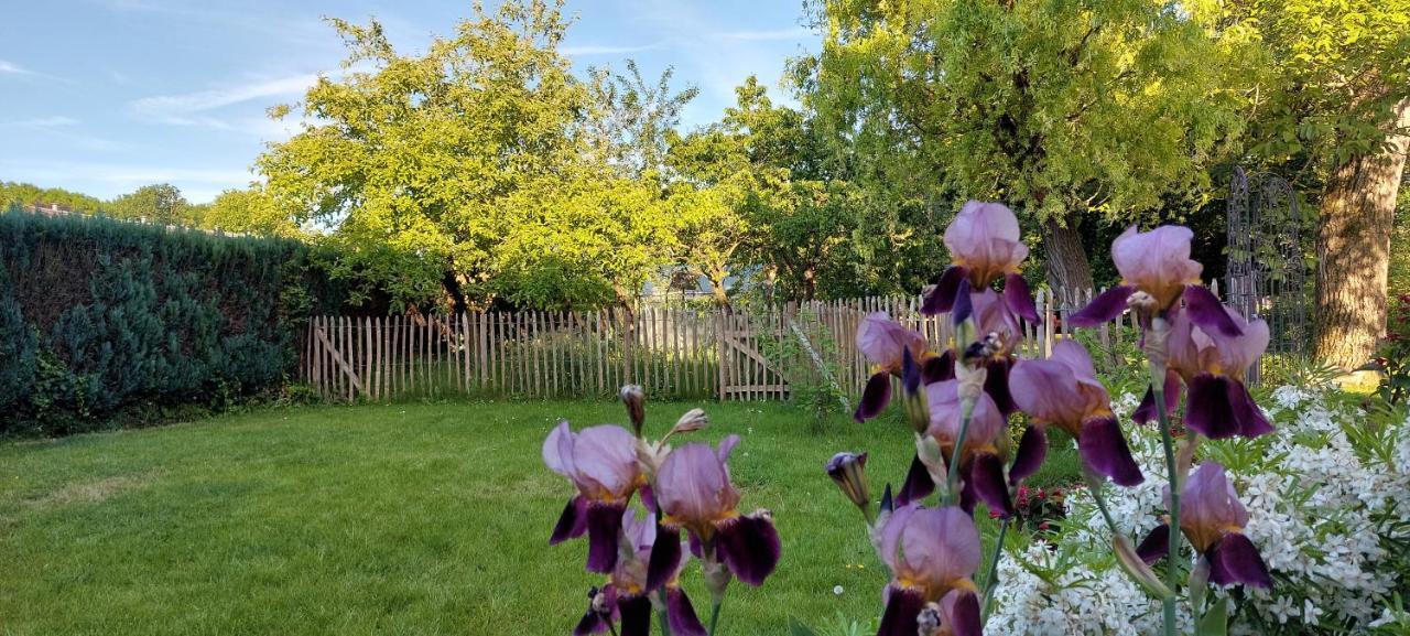 Au coquelicot : gîte cosy pour 8 pers. avec jardin Ath Exterior foto
